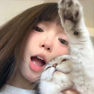 夏目友人帐
